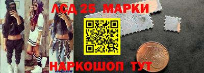 гидропоника Гусев
